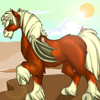 the boards - the website all about neopets