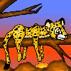 he boards 2 - the site all about neopets