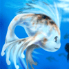 the boards 2 - Neoart  --------Neopets