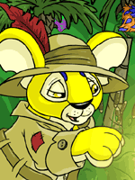 Jogue Jogo de Gadgads em Neopets