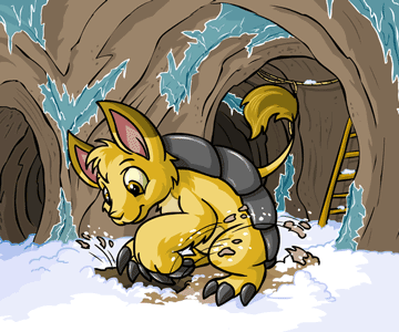 Neopet Bori