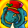 he boards 2 - the site all about neopets