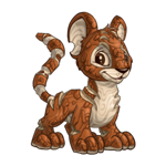 woodland kougra