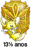 Escudo de tempo de Neopets