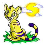 http://images.neopets.com/images/weather/weather_suncloud.gif