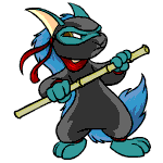 http://images.neopets.com/island/ninja_kyrii.gif