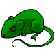 Almost Gummy Rat Lime