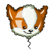 This Doglefox balloon will put a smile
on any Neopets face.