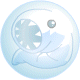 http://images.neopets.com/items/bd_ice1.gif