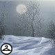 Grey Winter Evening Background