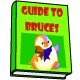 Everything you ever wanted to know about Bruces.  How to make them your friends, how to tackle one in the Battledome and lots more.