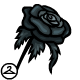 Arent black roses the prettiest?