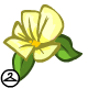 http://images.neopets.com/items/clo_kougra_islandflower.gif