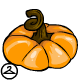 clo_pumpkinhat.gif