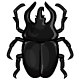 coi_large_black_scarab.gif