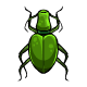 http://images.neopets.com/items/coi_scarab_sparkleb.gif