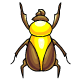 Basic Yellow Scarab