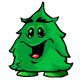 Petpet Fir