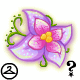 MME8-S4: Pretty Flower Facepaint