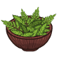 Fern Salad