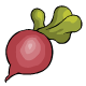 A crunchy fresh radish can make a great snack for hungry neopets.