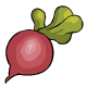 http://images.neopets.com/items/food_veg_radish.gif