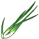 http://images.neopets.com/items/food_veg_spring.gif
