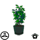 This tree is great for hiding behind or decorating your Neohome.