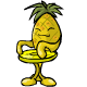 http://images.neopets.com/items/fur_pineapple_chair.gif