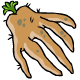 Every Mano Root has five spindly roots, isnt that rather strange?