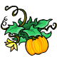 Mini Pumpkin