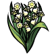 Lily of the Valley