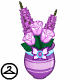 Pretty Fyora Potted Flowers