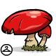 gif_red_toadstool.gif