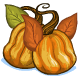 hfo_korbat_pumpkins.gif