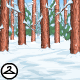 Snowy Forest Background