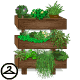 These shelves are full of beautiful plants, be sure to take care of each and every one.