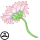 Pink Daisy Parasol