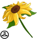 Premium Collectible: Giant Sunflower