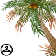 Curved Palm Tree