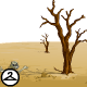 This poor tree was never meant to grow in the desert.
