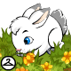 This cute little snowbunny is always hungry...unlimited flowers for the munchin!