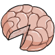 brain cheese