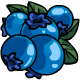 http://images.neopets.com/items/mfo_blueberries.gif
