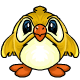 http://images.neopets.com/items/pawkeet_yellow.gif