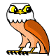 A Horus is very wise, and can warn your Neopet of danger.