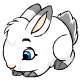 Petpet Snowbunny