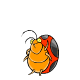 petpetpet_flugbug.gif