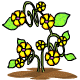 The Mordongos are a funny plant, they dont need soil, water or sunlight to grow, and in fact can live floating in midair.  Most gardeners prefer to keep them bolted down however!