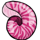 Pink Curly Shell